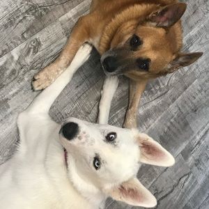 Meet your Posher, Arlene🇨🇦